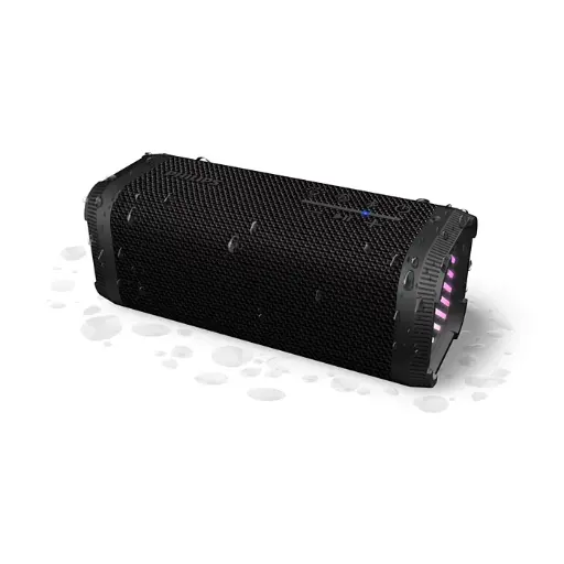 [4895229158832] Philips Speaker Outdoor 20W Black TAS2000B/00